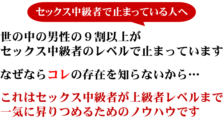 これはセックス中級者が上級者レベルまで一気に昇りつめるためのノウハウです